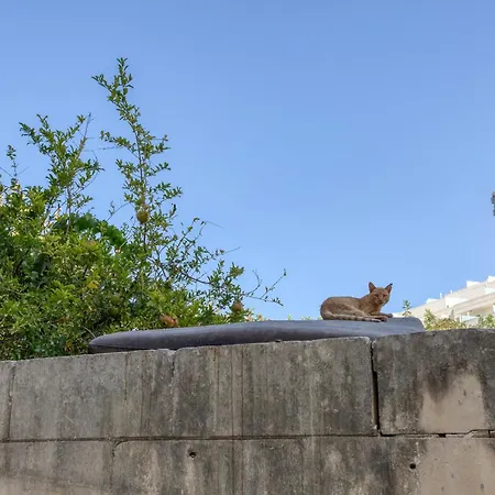 Spacious 3br With Private Terrace In By 360 Estates *